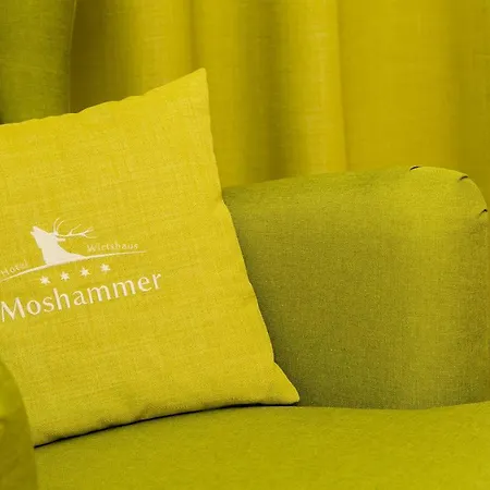 Landhotel Moshammer Waidhofen an der Ybbs Extérieur photo